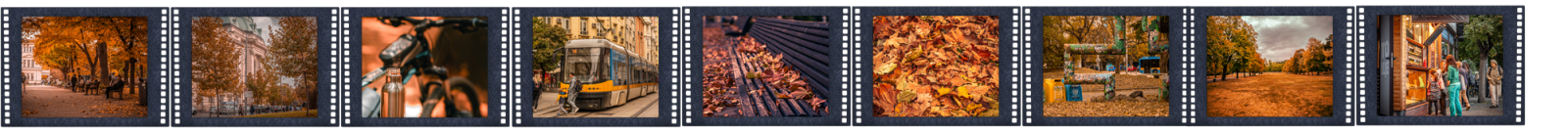 COMPLETE AUTUMN FILM56